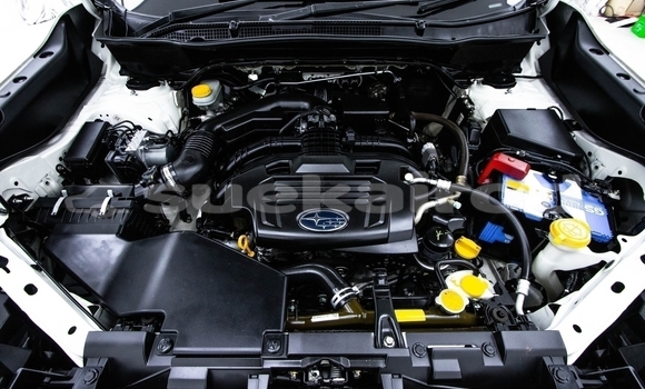 ซื้อ รถมือสอง Subaru Forester ขาว รถยนต์ ใน %{เมือง} ใน กรุงเทพมหานคร ซื้อ รถมือสอง Subaru Forester ขาว รถยนต์ ใน %{เมือง} ใน กรุงเทพมหานคร