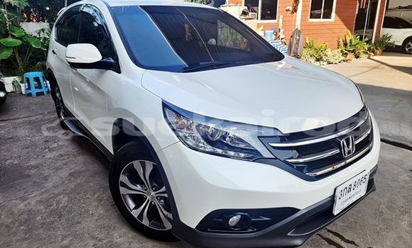 ซื้อ รถมือสอง Honda CR-V ขาว รถยนต์ ใน %{เมือง} ใน กรุงเทพมหานคร ซื้อ รถมือสอง Honda CR-V ขาว รถยนต์ ใน %{เมือง} ใน กรุงเทพมหานคร