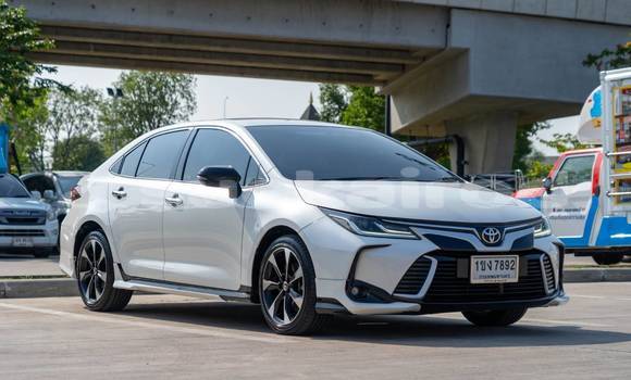 ซื้อ รถมือสอง Toyota Altis ขาว รถยนต์ ใน %{เมือง} ใน กรุงเทพมหานคร ซื้อ รถมือสอง Toyota Altis ขาว รถยนต์ ใน %{เมือง} ใน กรุงเทพมหานคร