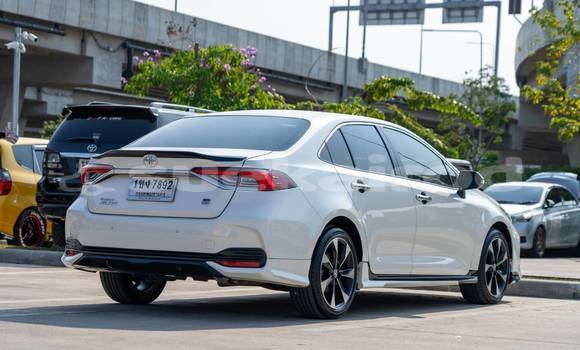 ซื้อ รถมือสอง Toyota Altis ขาว รถยนต์ ใน %{เมือง} ใน กรุงเทพมหานคร ซื้อ รถมือสอง Toyota Altis ขาว รถยนต์ ใน %{เมือง} ใน กรุงเทพมหานคร