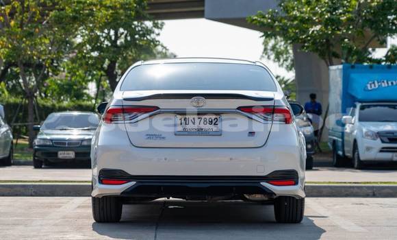 ซื้อ รถมือสอง Toyota Altis ขาว รถยนต์ ใน %{เมือง} ใน กรุงเทพมหานคร ซื้อ รถมือสอง Toyota Altis ขาว รถยนต์ ใน %{เมือง} ใน กรุงเทพมหานคร