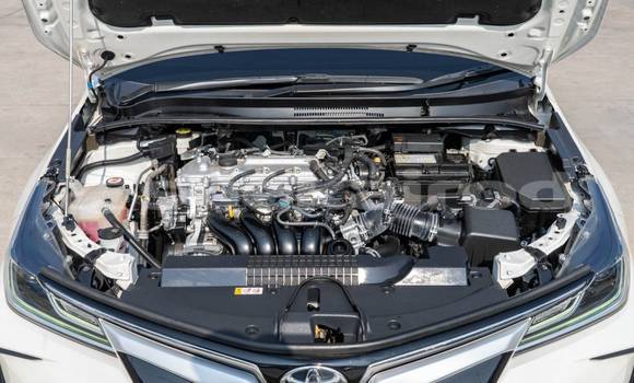 ซื้อ รถมือสอง Toyota Altis ขาว รถยนต์ ใน %{เมือง} ใน กรุงเทพมหานคร ซื้อ รถมือสอง Toyota Altis ขาว รถยนต์ ใน %{เมือง} ใน กรุงเทพมหานคร