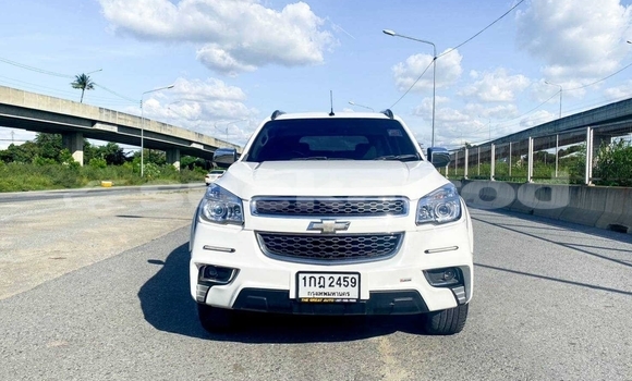 Buy Used Chevrolet TrailBlazer White Car in Bangkok in Bangkok