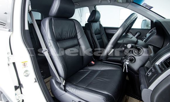 Buy Used Honda CR-V White Car in Bangkok in Bangkok Buy Used Honda CR-V White Car in Bangkok in Bangkok