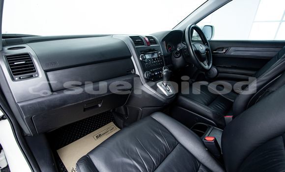 Buy Used Honda CR-V White Car in Bangkok in Bangkok Buy Used Honda CR-V White Car in Bangkok in Bangkok