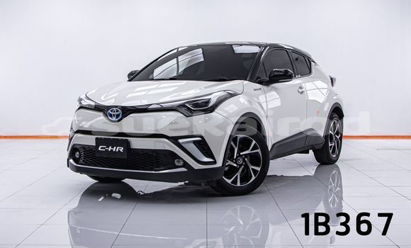 Buy Used Toyota C-HR White Car in Bangkok in Bangkok