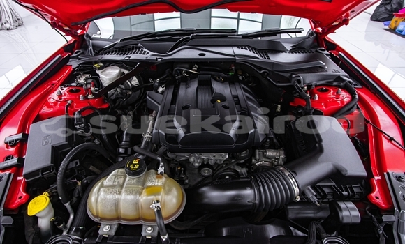 ซื้อ รถมือสอง FORD MUSTANG สีแดง รถยนต์ ใน %{เมือง} ใน กรุงเทพมหานคร ซื้อ รถมือสอง FORD MUSTANG สีแดง รถยนต์ ใน %{เมือง} ใน กรุงเทพมหานคร