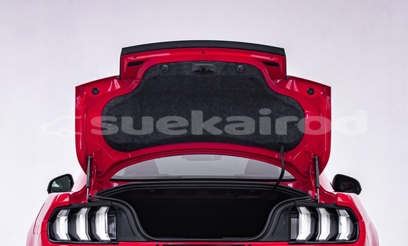 ซื้อ รถมือสอง FORD MUSTANG สีแดง รถยนต์ ใน %{เมือง} ใน กรุงเทพมหานคร ซื้อ รถมือสอง FORD MUSTANG สีแดง รถยนต์ ใน %{เมือง} ใน กรุงเทพมหานคร