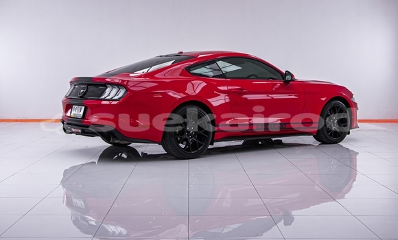 ซื้อ รถมือสอง FORD MUSTANG สีแดง รถยนต์ ใน %{เมือง} ใน กรุงเทพมหานคร ซื้อ รถมือสอง FORD MUSTANG สีแดง รถยนต์ ใน %{เมือง} ใน กรุงเทพมหานคร