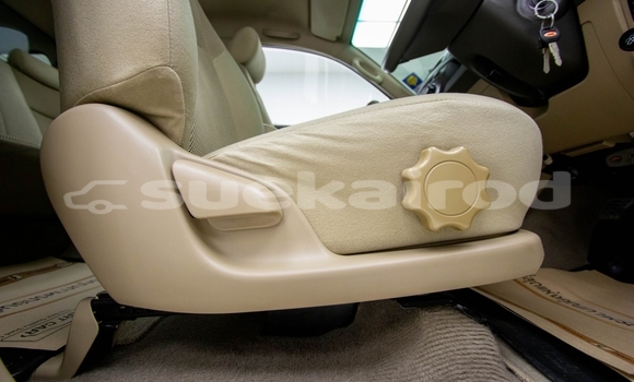 Buy Used Toyota Hiluxe VIGO Black Car in Bangkok in Bangkok Buy Used Toyota Hiluxe VIGO Black Car in Bangkok in Bangkok