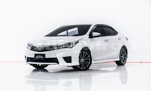 Buy Used Toyota Altis White Car in Bangkok in Bangkok Buy Used Toyota Altis White Car in Bangkok in Bangkok