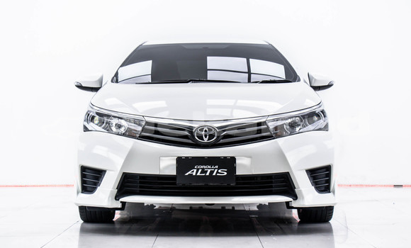 Buy Used Toyota Altis White Car in Bangkok in Bangkok Buy Used Toyota Altis White Car in Bangkok in Bangkok
