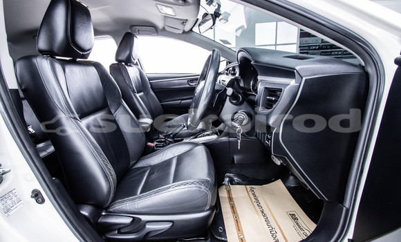 Buy Used Toyota Altis White Car in Bangkok in Bangkok Buy Used Toyota Altis White Car in Bangkok in Bangkok