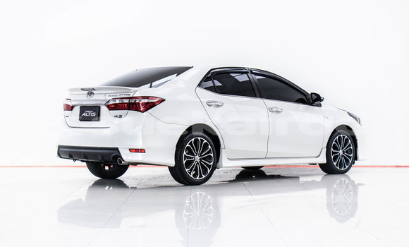 Buy Used Toyota Altis White Car in Bangkok in Bangkok Buy Used Toyota Altis White Car in Bangkok in Bangkok