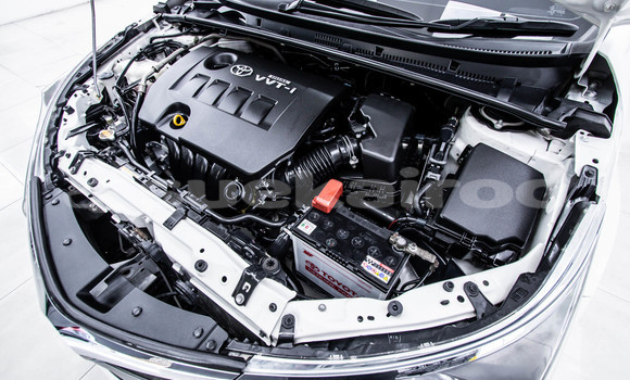 Buy Used Toyota Altis White Car in Bangkok in Bangkok Buy Used Toyota Altis White Car in Bangkok in Bangkok