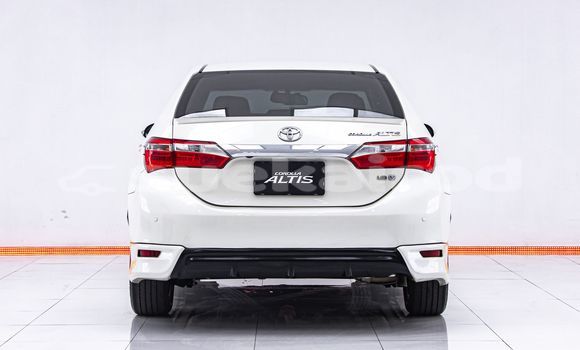 Buy Used Toyota Altis White Car in Bangkok in Bangkok Buy Used Toyota Altis White Car in Bangkok in Bangkok