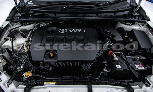 Buy Used Toyota Altis White Car in Bangkok in Bangkok Buy Used Toyota Altis White Car in Bangkok in Bangkok