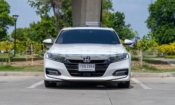 Buy Used Honda Accord White Car in Bangkok in Bangkok