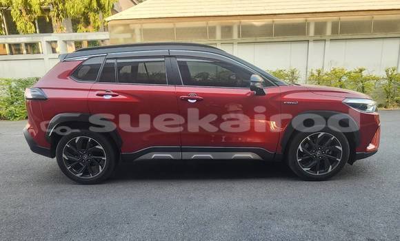 Buy Used Toyota Corolla Cross Red Car in Bangkok in Bangkok Buy Used Toyota Corolla Cross Red Car in Bangkok in Bangkok