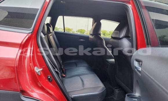 Buy Used Toyota Corolla Cross Red Car in Bangkok in Bangkok Buy Used Toyota Corolla Cross Red Car in Bangkok in Bangkok