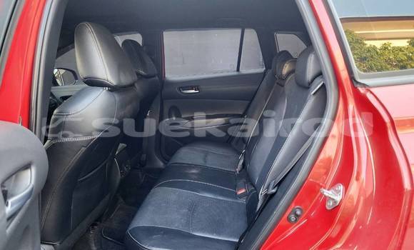 Buy Used Toyota Corolla Cross Red Car in Bangkok in Bangkok Buy Used Toyota Corolla Cross Red Car in Bangkok in Bangkok