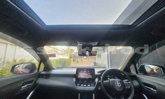 Buy Used Toyota Corolla Cross Red Car in Bangkok in Bangkok Buy Used Toyota Corolla Cross Red Car in Bangkok in Bangkok