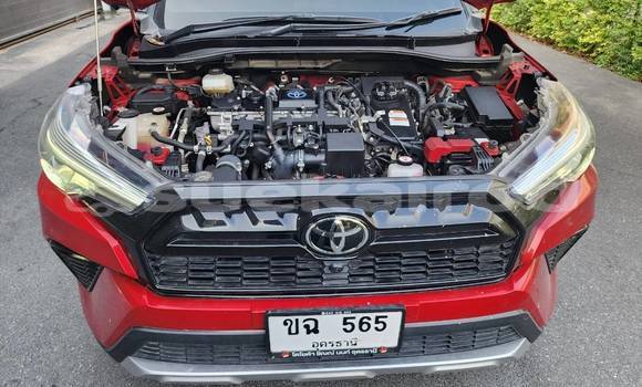 Buy Used Toyota Corolla Cross Red Car in Bangkok in Bangkok Buy Used Toyota Corolla Cross Red Car in Bangkok in Bangkok