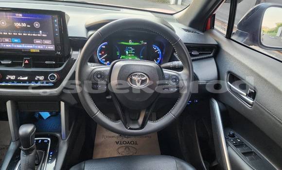 Buy Used Toyota Corolla Cross Red Car in Bangkok in Bangkok Buy Used Toyota Corolla Cross Red Car in Bangkok in Bangkok