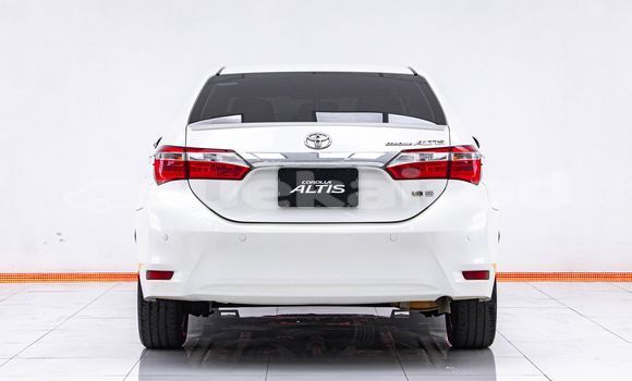 Buy Used Toyota Altis White Car in Bangkok in Bangkok Buy Used Toyota Altis White Car in Bangkok in Bangkok