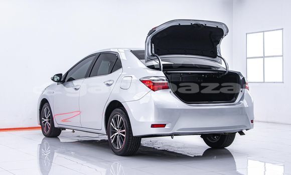 Buy Used Toyota Altis Other Car in Bangkok in Bangkok Buy Used Toyota Altis Other Car in Bangkok in Bangkok