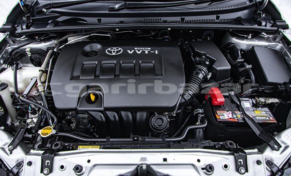 Buy Used Toyota Altis Other Car in Bangkok in Bangkok Buy Used Toyota Altis Other Car in Bangkok in Bangkok