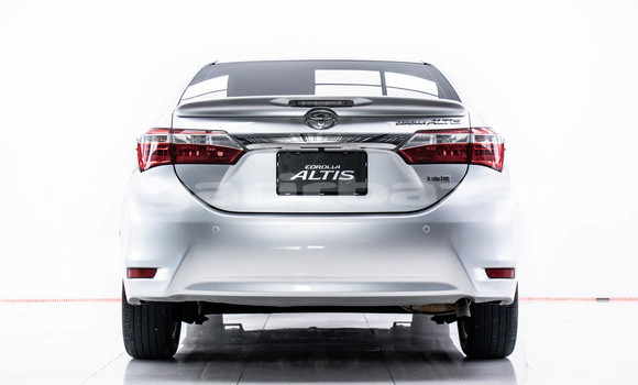 Buy Used Toyota Altis Other Car in Bangkok in Bangkok Buy Used Toyota Altis Other Car in Bangkok in Bangkok