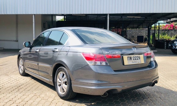 Buy Used Honda Accord Other Car in Chiang Mai in Chiang Mai Buy Used Honda Accord Other Car in Chiang Mai in Chiang Mai