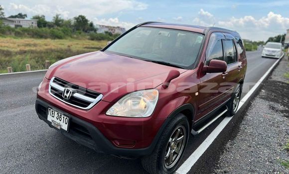Buy Used Honda CR–V Red Car in Bangkok in Bangkok