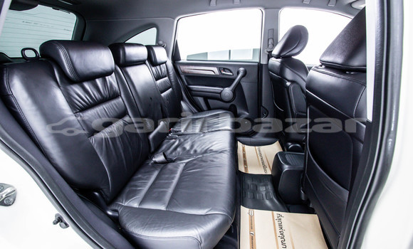 Buy Used Honda CR-V White Car in Bangkok in Bangkok Buy Used Honda CR-V White Car in Bangkok in Bangkok