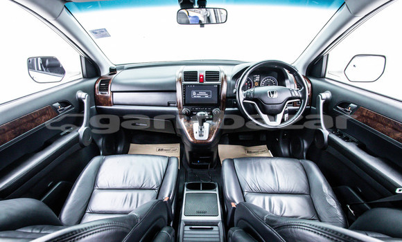 Buy Used Honda CR-V White Car in Bangkok in Bangkok Buy Used Honda CR-V White Car in Bangkok in Bangkok