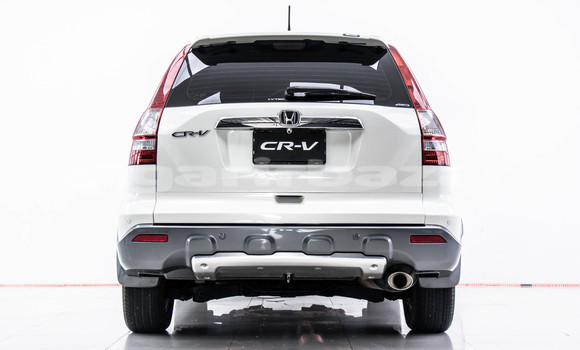 Buy Used Honda CR-V White Car in Bangkok in Bangkok Buy Used Honda CR-V White Car in Bangkok in Bangkok