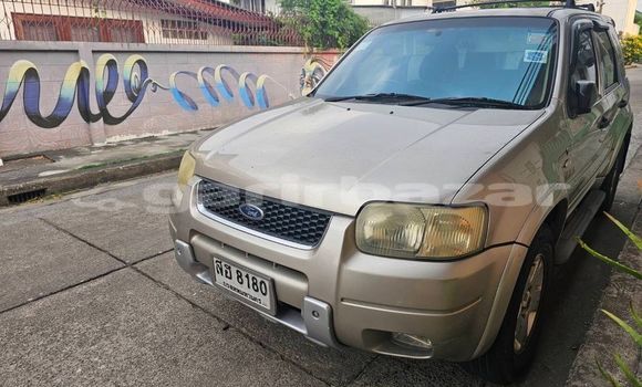 ซื้อ รถมือสอง Ford Escape อื่น ๆ รถยนต์ ใน %{เมือง} ใน กรุงเทพมหานคร ซื้อ รถมือสอง Ford Escape อื่น ๆ รถยนต์ ใน %{เมือง} ใน กรุงเทพมหานคร