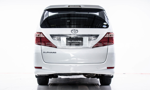 Buy Used Toyota Alphard White Car in Bangkok in Bangkok Buy Used Toyota Alphard White Car in Bangkok in Bangkok