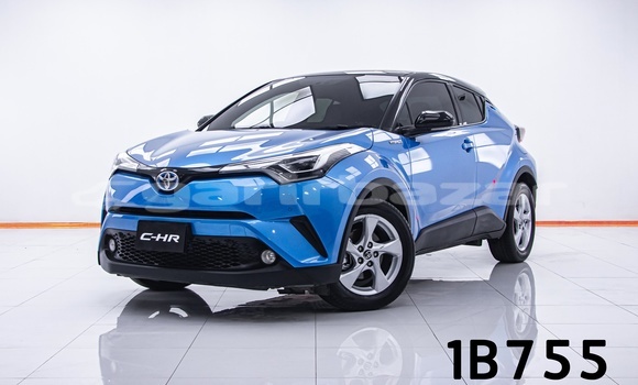 Buy Used Toyota C-HR Blue Car in Bangkok in Bangkok