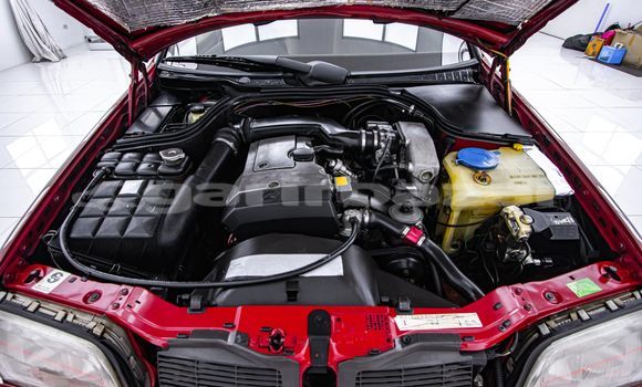 Buy Used Mercedes-Benz C-klasse Red Car in Bangkok in Bangkok Buy Used Mercedes-Benz C-klasse Red Car in Bangkok in Bangkok