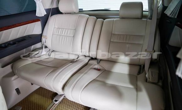 ซื้อ รถมือสอง Toyota Alphard ขาว รถยนต์ ใน %{เมือง} ใน กรุงเทพมหานคร ซื้อ รถมือสอง Toyota Alphard ขาว รถยนต์ ใน %{เมือง} ใน กรุงเทพมหานคร