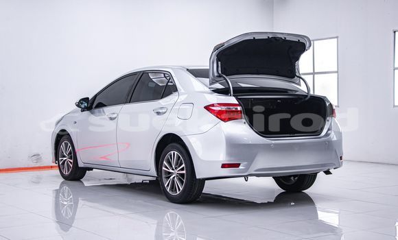 Buy Used Toyota Altis Other Car in Bangkok in Bangkok Buy Used Toyota Altis Other Car in Bangkok in Bangkok