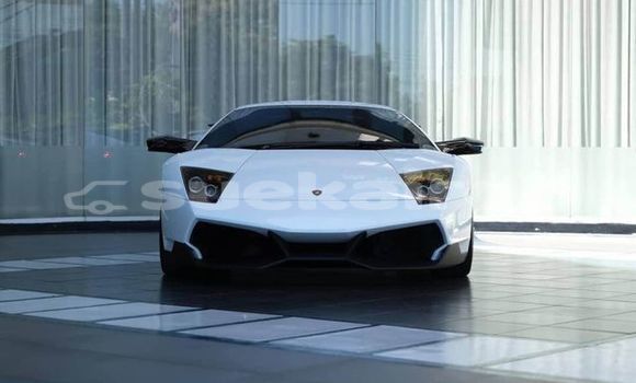 Buy Used Lamborghini Murcielago White Car in Bangkok in Bangkok Buy Used Lamborghini Murcielago White Car in Bangkok in Bangkok