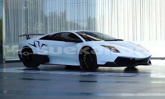 Buy Used Lamborghini Murcielago White Car in Bangkok in Bangkok Buy Used Lamborghini Murcielago White Car in Bangkok in Bangkok