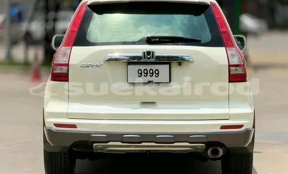 ซื้อ รถมือสอง Honda CR-V ขาว รถยนต์ ใน %{เมือง} ใน ชัยนาท ซื้อ รถมือสอง Honda CR-V ขาว รถยนต์ ใน %{เมือง} ใน ชัยนาท