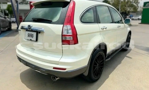 ซื้อ รถมือสอง Honda CR-V ขาว รถยนต์ ใน %{เมือง} ใน ชัยนาท ซื้อ รถมือสอง Honda CR-V ขาว รถยนต์ ใน %{เมือง} ใน ชัยนาท