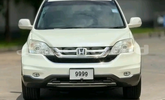 ซื้อ รถมือสอง Honda CR-V ขาว รถยนต์ ใน %{เมือง} ใน ชัยนาท ซื้อ รถมือสอง Honda CR-V ขาว รถยนต์ ใน %{เมือง} ใน ชัยนาท