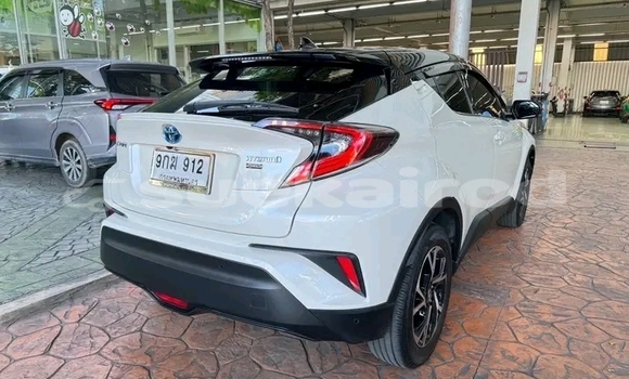 Buy Used Toyota C-HR White Car in Chai Nat in Chai Nat Buy Used Toyota C-HR White Car in Chai Nat in Chai Nat