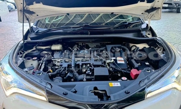 ซื้อ รถมือสอง Toyota C-HR ขาว รถยนต์ ใน %{เมือง} ใน ชัยนาท ซื้อ รถมือสอง Toyota C-HR ขาว รถยนต์ ใน %{เมือง} ใน ชัยนาท